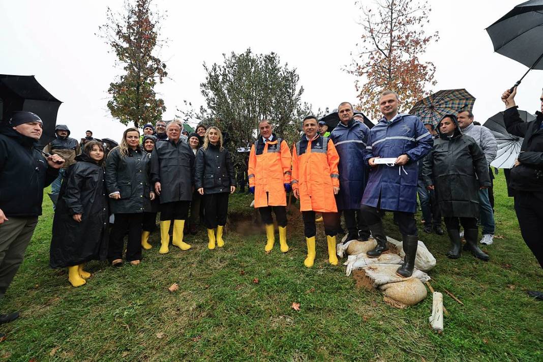 İstanbul'a 1111 'nefes' takviyesi yapıldı! Fıstık çamları ve zeytinler buluştu 7